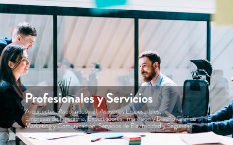 profesionales-y-servicios